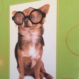 Meet your Posher, Irene